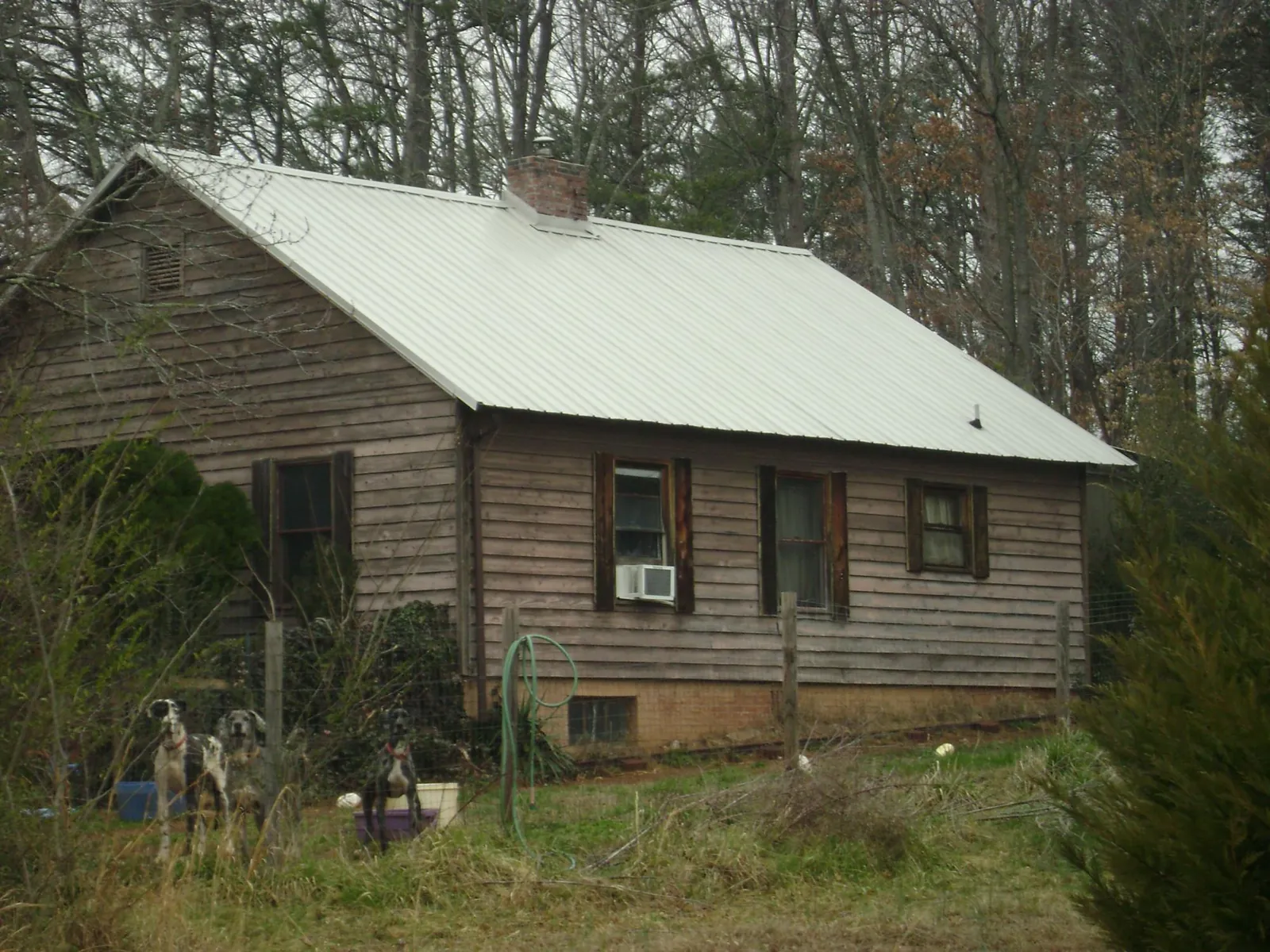 White metal roof on an old wood sided farmhouse, from a Metal Roof Installation job in Genoa